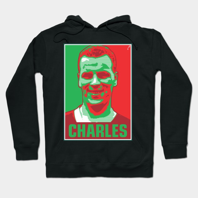 Charles - WALES Hoodie by DAFTFISH